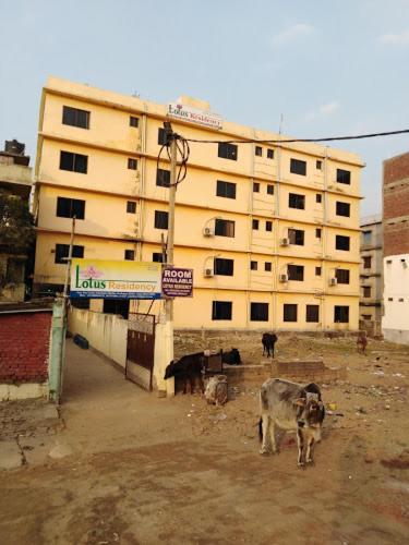 Hotel Lotus Residency Bodh Gaya Exterior foto